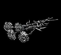 Оформление на памятник (ЦП-10), рис. 1